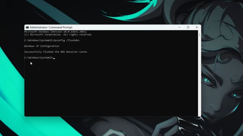 Flushing Your DNS
