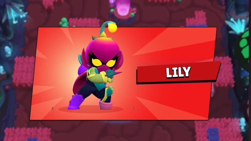 Lily