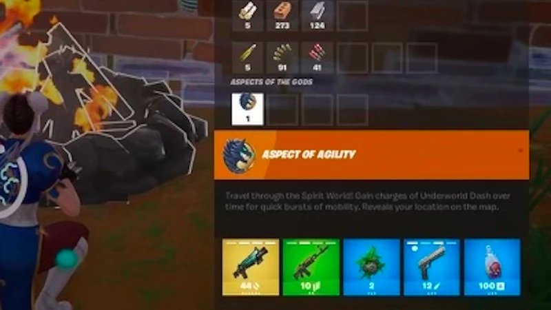 Aspect of Agility Fortnite