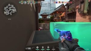 What does Eco mean in VALORANT