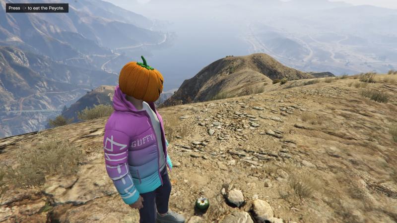 Where to find Peyote Plants in GTA Online