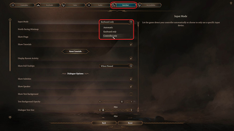Navigate to settings to enable the controller input.
