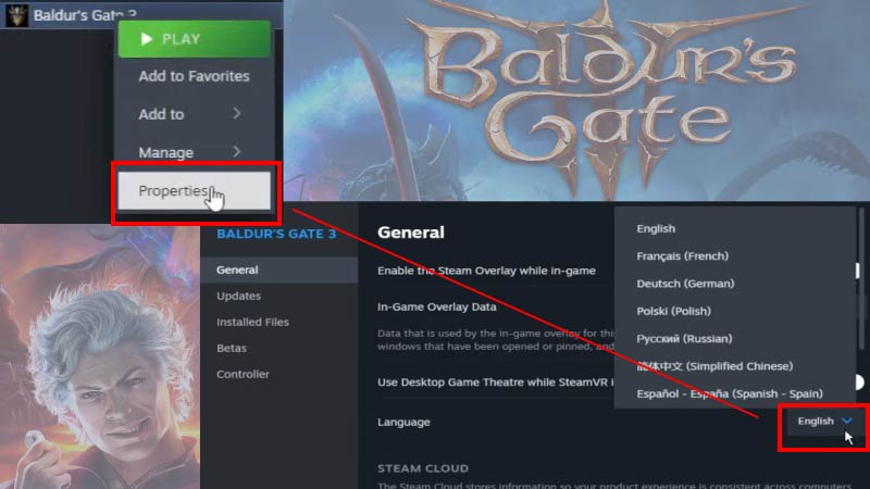 Baldur's Gate 3 how to change language