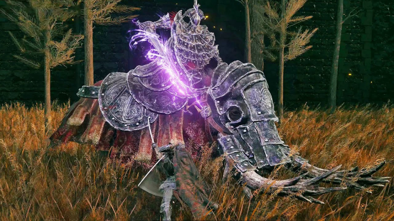 Commander Gaius Elden Ring Shadow of the Erdtree