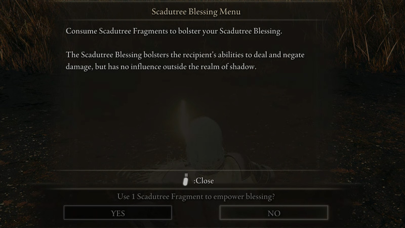 Elden Ring Shadow of the Erdtree Scadutree Fragment