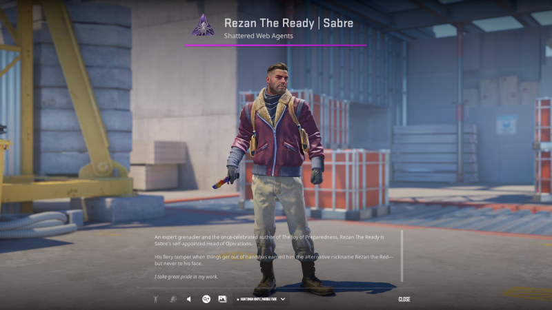 best CS2 agent skins