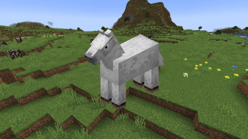 Best Minecraft Version