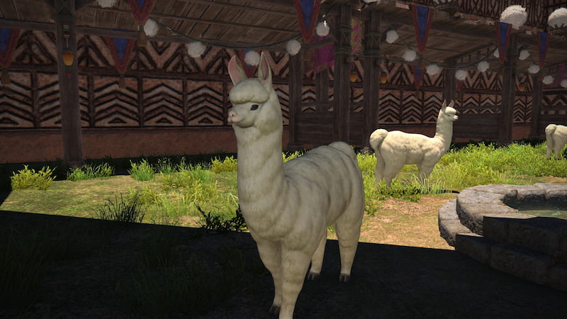Alpaca Mount FFXIV