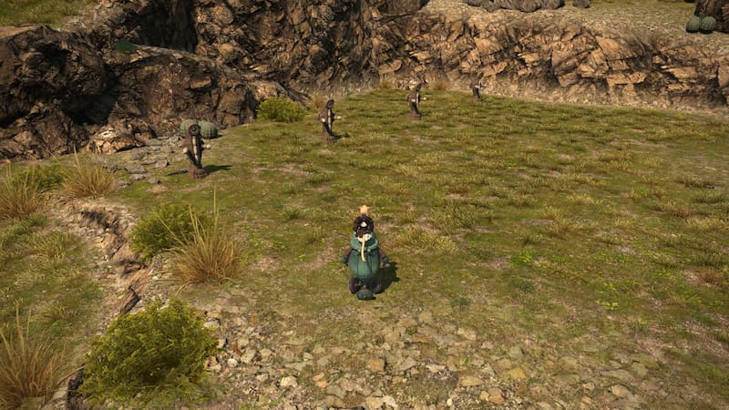 ffxiv-dawntrail-training-dummy-locations