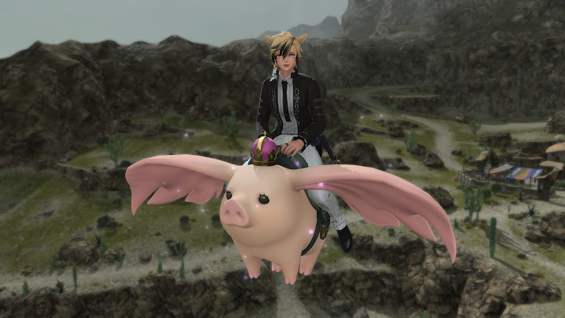 ffxiv-gong-cha-king-porxie-mount (5)