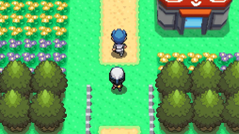 Pokemon Diamond