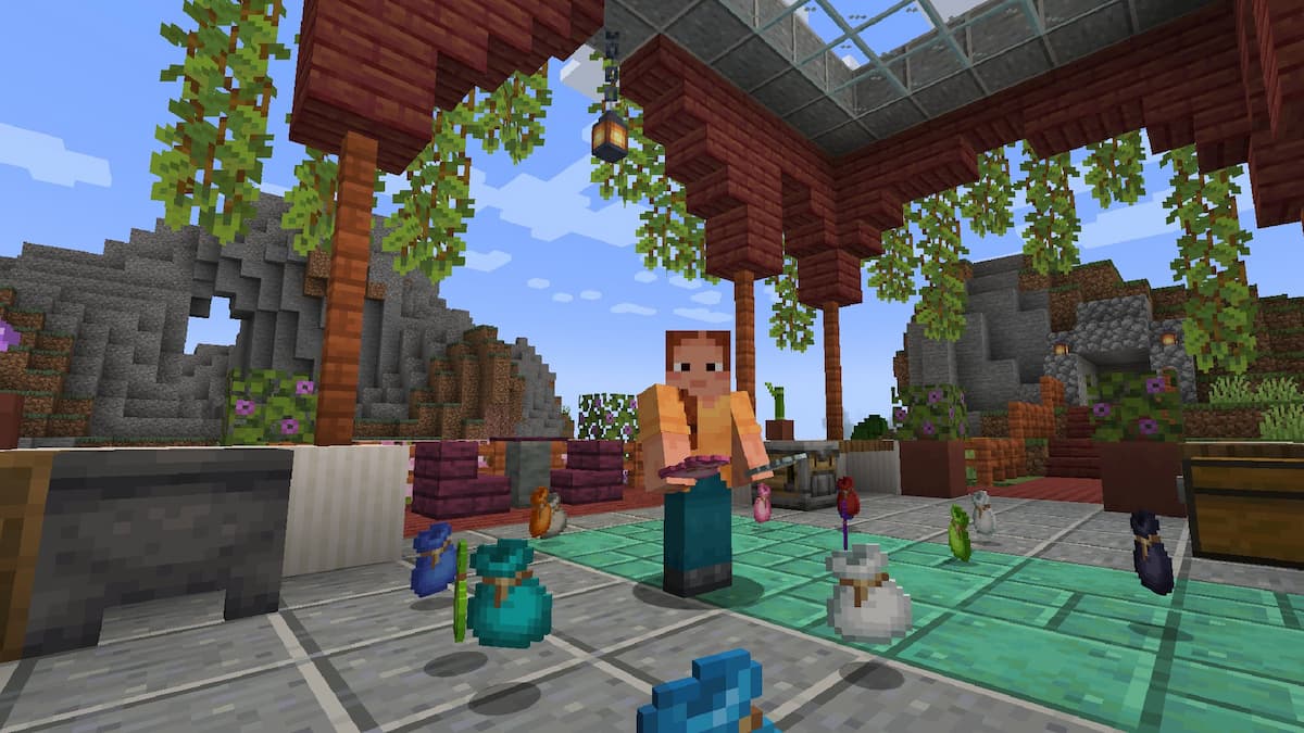 Minecraft bundles
