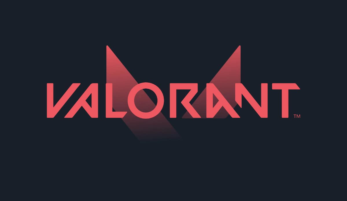 CT meaning VALORANT