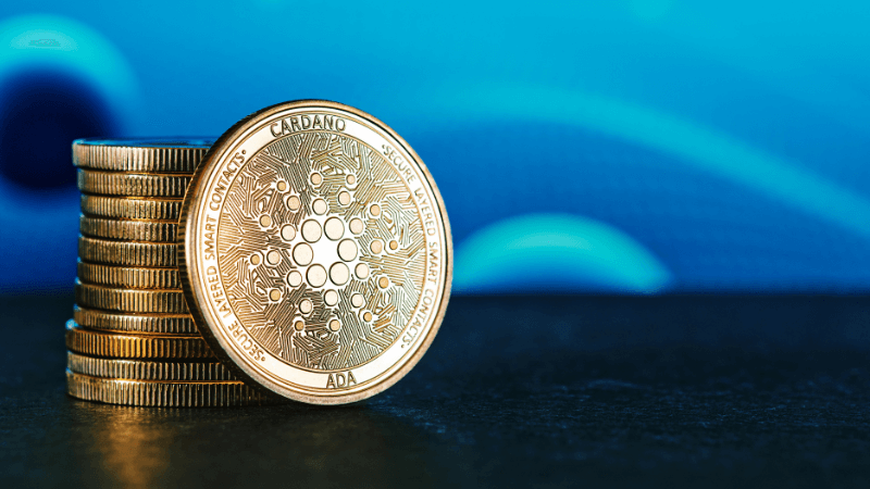 Cardano betting featured image