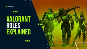 All roles in VALORANT explained!