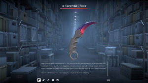 Best Karambit Skins in CS2, Ranked