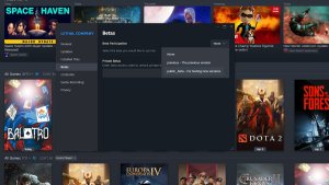 How To Change A Game to a Beta Branch on Steam