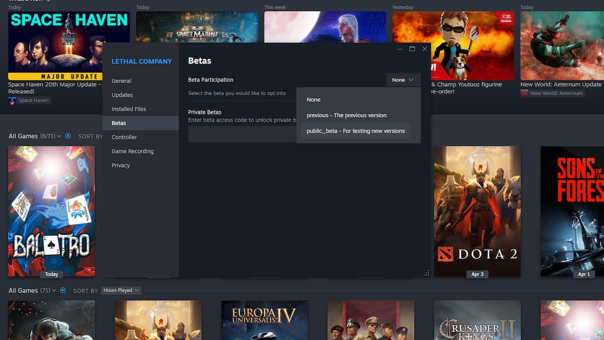 steam beta branch