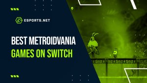 Best Metroidvania Games on Switch: Fast Paced, Dungeon Crawling Madness
