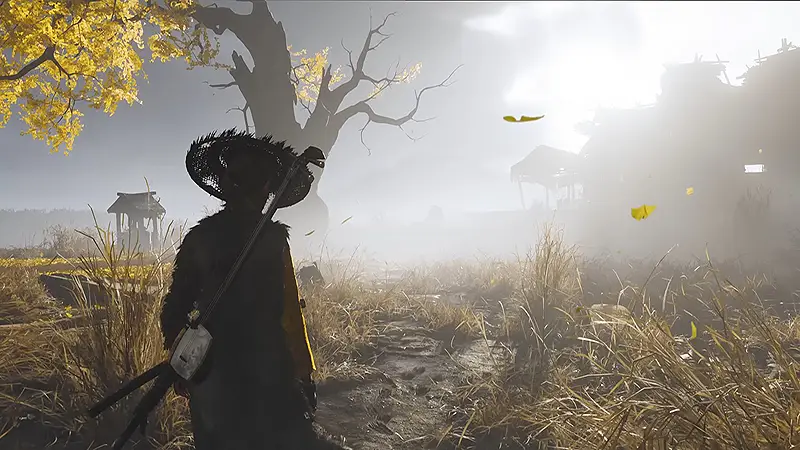 graphics
