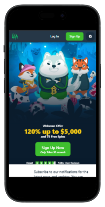 No-Verification-Casinos-Wild.io