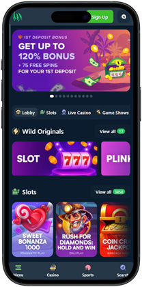 Wild.io Crypto Casino