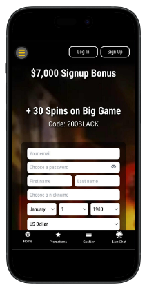 Instant-Withdrawal-Casinos-Black-Lotus-casino