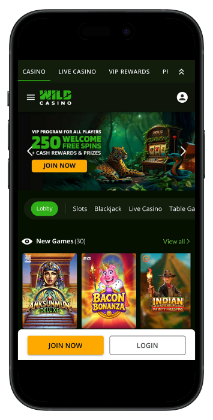 Instant-Withdrawal-Casinos-Wild-Casino