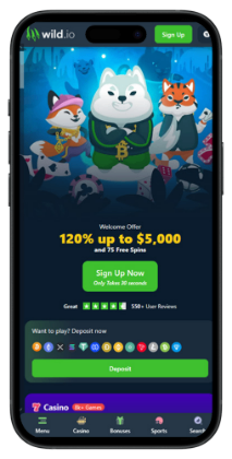 VPN-Friendly-Casinos-Wild.io-lobby