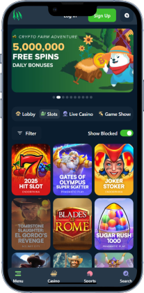 Wild.io Casino Slots