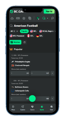 Best no kyc betting sites - BC.Game