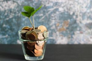 Plant pot filled with change