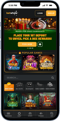 BetWhale Casino Stake Alternative