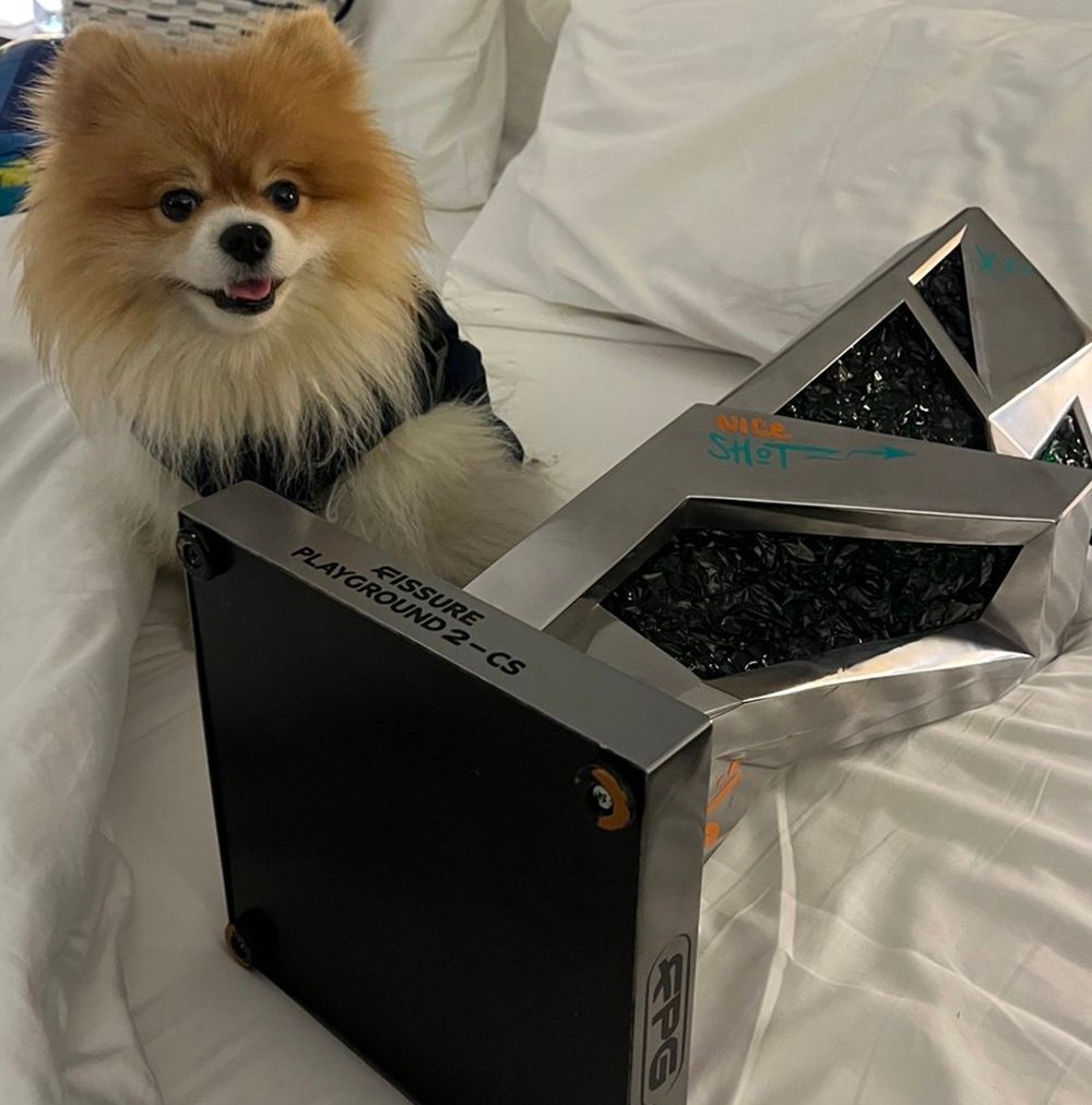 Pomeranian dog sitting on a bed next to the FISSURE Playground 2 CS:GO championship trophy.