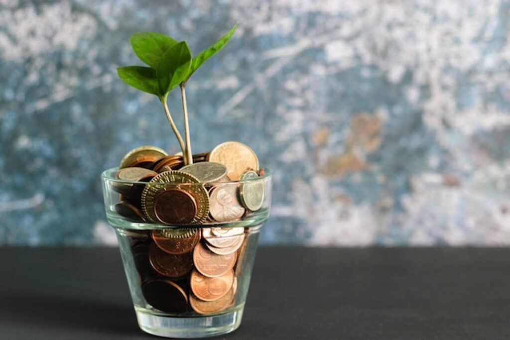 Plant growing out of a small flowerpot filled with coins