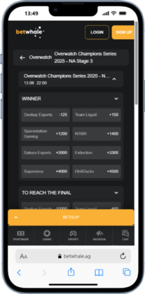 BetWhale Overwatch betting site