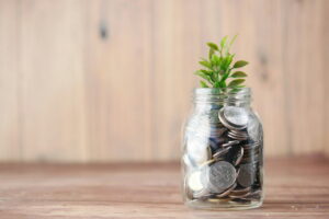 Pot with money and plant growing out of it