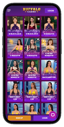 Buffalo Casino - The Best Roulette Sites