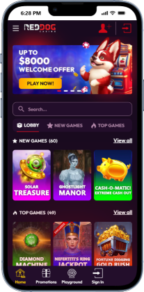 Red Dog Real Money Online Casino