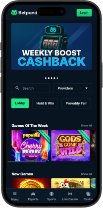 Betpanda VPN Friendly Casino