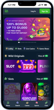 Wild.io VPN Friendly Casino