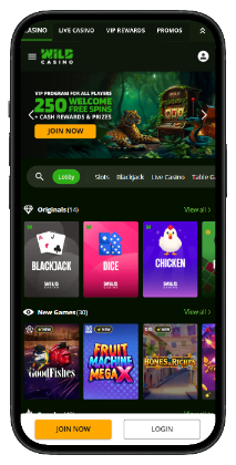 Wild Casino - one of the best casinos for real money