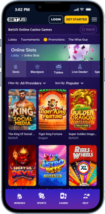 BetUS Stake Casino Alternative