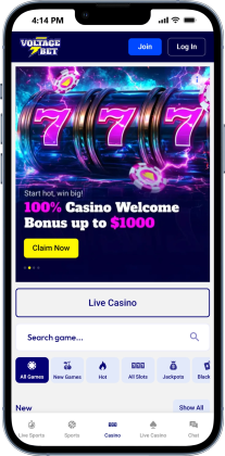 Voltage Bet Casino