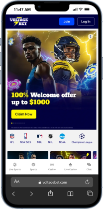 florida sportsbooks - voltage bet