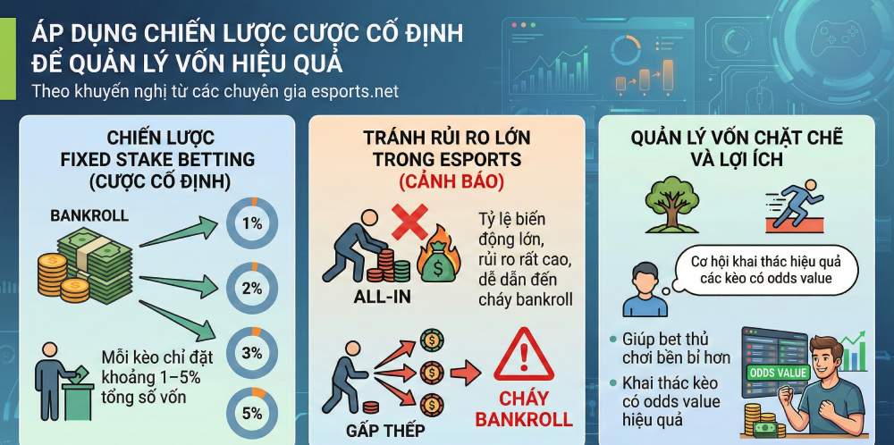 Áp dụng chiến lược cược cố định để kiểm soát và quản lý vốn hiệu quả
