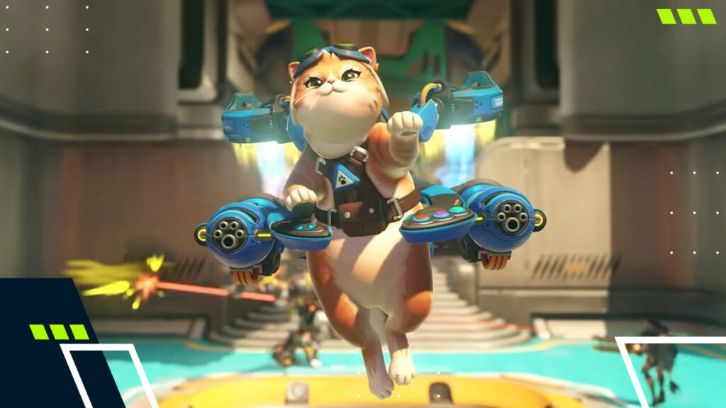 Jetpack Cat in Overwatch gameplay
