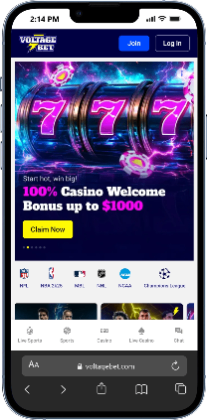 best fast withdrawal casinos - voltage bet